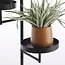 Mica Decorations Perry Iron Wall Shelf - Black