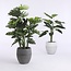 Mica Decorations Artificial Philodendron Plant - Green - H120 cm