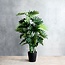 Mica Decorations Artificial Philodendron Plant - Green - H120 cm