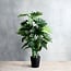 Mica Decorations Künstlicher Philodendron - Grün - H120 cm