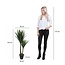 Mica Decorations Künstliche Yucca - Grün - H120 × Ø70 cm