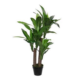 Mica Decorations Künstlicher Drachenbaum - Grün - H95 × Ø60 cm