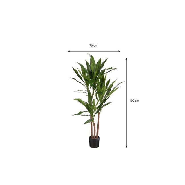 Mica Decorations Künstlicher Drachenbaum - Grün - H100 × Ø70 cm