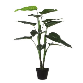 Mica Decorations Künstlicher Philodendron - Grün