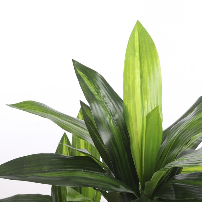 Mica Decorations Künstlicher Drachenbaum - Grün - H95 × Ø60 cm