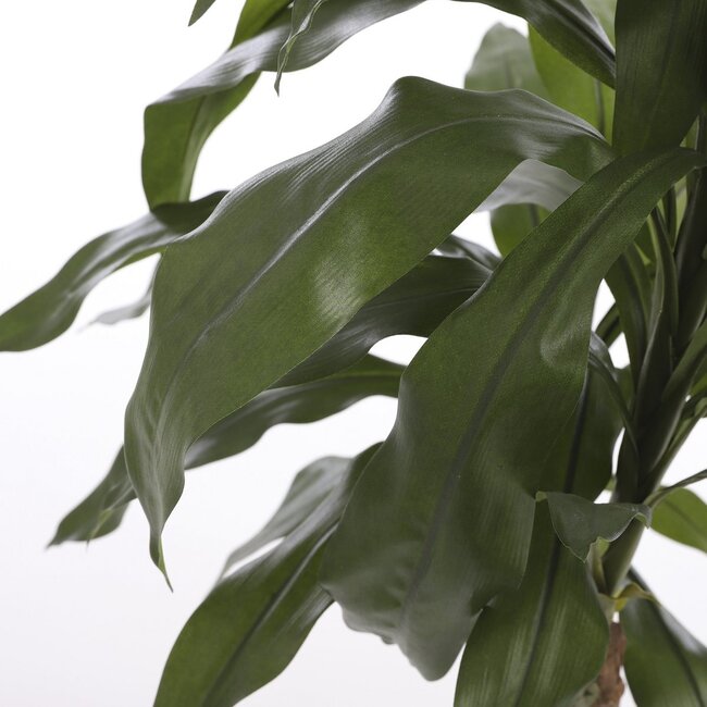 Mica Decorations Artificial Dracaena Plant - Green - H100 × Ø70 cm