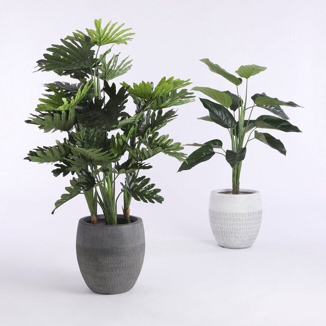Mica Decorations Künstlicher Philodendron - Grün