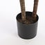 Mica Decorations Künstlicher Drachenbaum - Grün - H100 × Ø70 cm