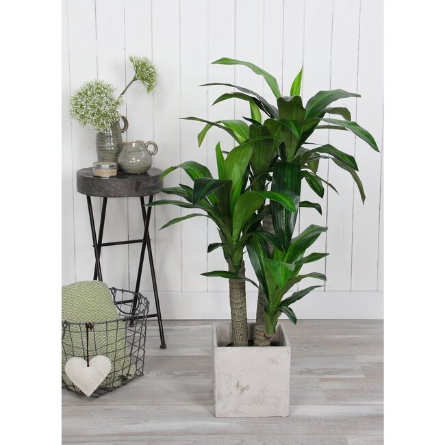 Mica Decorations Künstlicher Drachenbaum - Grün - H95 × Ø60 cm