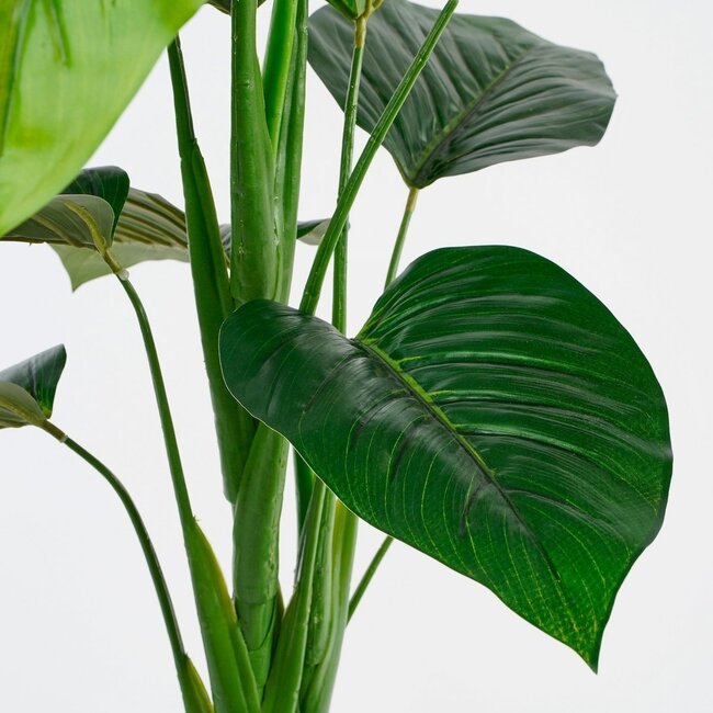 Mica Decorations Künstlicher Philodendron - Grün