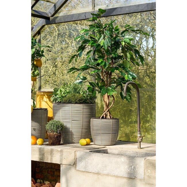 Mica Decorations Artificial Ficus Plant - Green