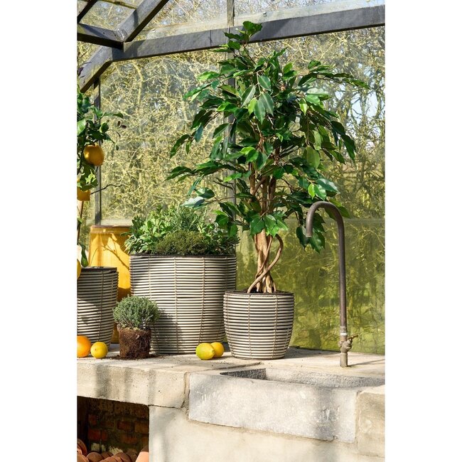 Mica Decorations Künstlicher Ficus - Grün