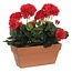 Mica Decorations Kunstplant Rood 1Polyester