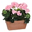 Mica Decorations Kunstplant Roze 1Polyester