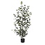 Mica Decorations Kunstplant Groen 1Polyester
