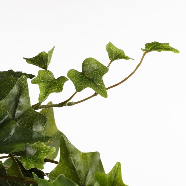 Mica Decorations Artificial Trailing Ivy - Green - L24 × W15 × H130 cm