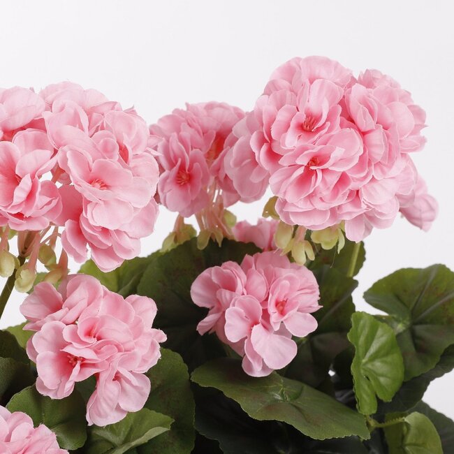 Mica Decorations Artificial Geranium Plant - Pink