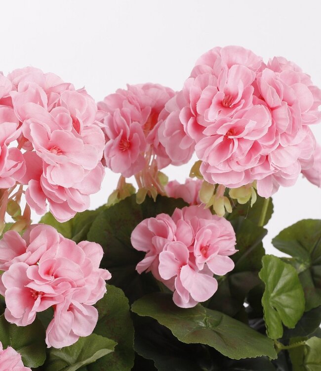 Kunstplant Roze 1Polyester