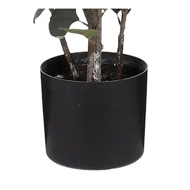 Mica Decorations Artificial Eucalyptus Plant - Green