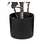 Mica Decorations Artificial Eucalyptus Plant - Green