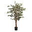 Mica Decorations Artificial Ficus Plant - Green