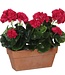 Kunstplant Dunkelrosa 1Polyester