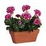 Mica Decorations Kunstplant Roze 1Polyester