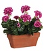 Kunstplant Roze 1Polyester