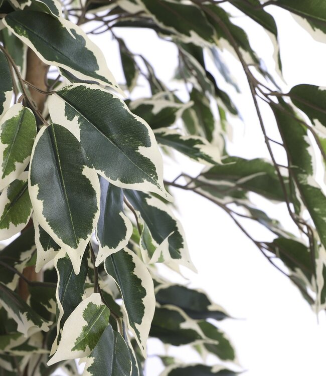 Kunstplant Groen 1Kunststof