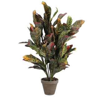 Mica Decorations Künstlicher Croton - Grün