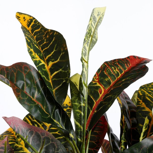 Mica Decorations Künstlicher Croton - Grün