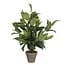 Mica Decorations Künstliche Funkie - Grün - H65 × Ø40 cm