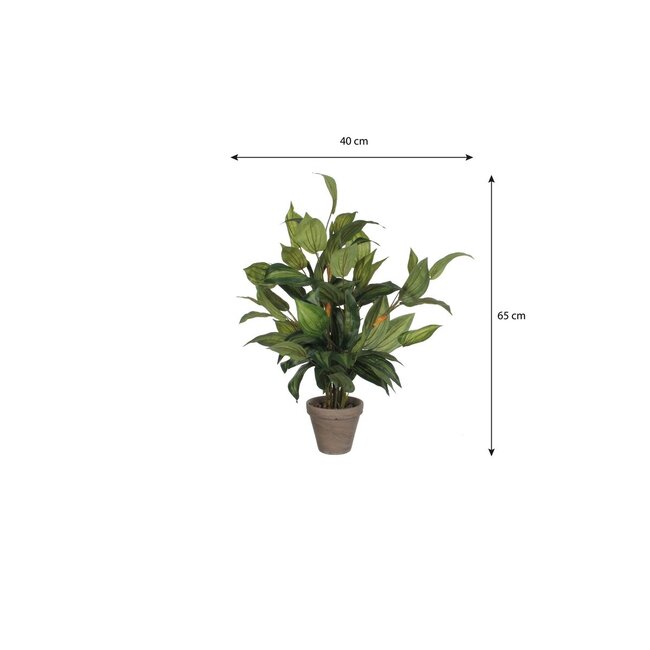 Mica Decorations Künstliche Funkie - Grün - H65 × Ø40 cm