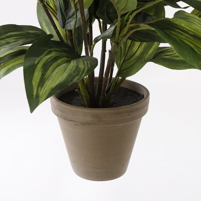 Mica Decorations Künstliche Funkie - Grün - H65 × Ø40 cm
