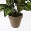 Mica Decorations Künstliche Funkie - Grün - H65 × Ø40 cm