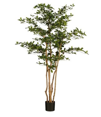 Mica Decorations Kunstplant Groen 1Polyester