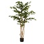 Mica Decorations Kunstplant Groen 1Polyester