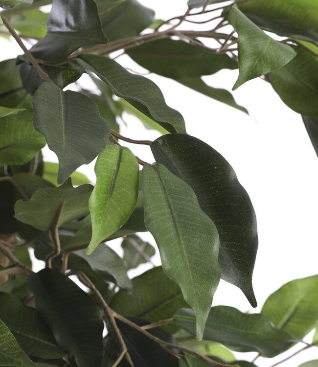 Kunstplant Groen 1Polyester