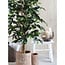 Mica Decorations Artificial Ficus Plant - Green