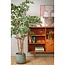 Mica Decorations Artificial Olive Tree - Green