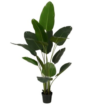 Mica Decorations Kunstplant Groen 1Kunststof