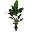 Mica Decorations Artificial Banana Tree - Green