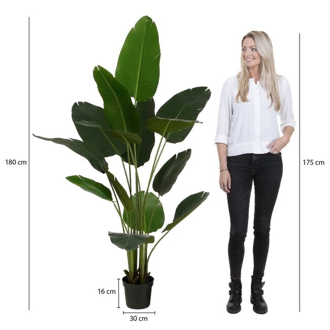 Mica Decorations Artificial Banana Tree - Green