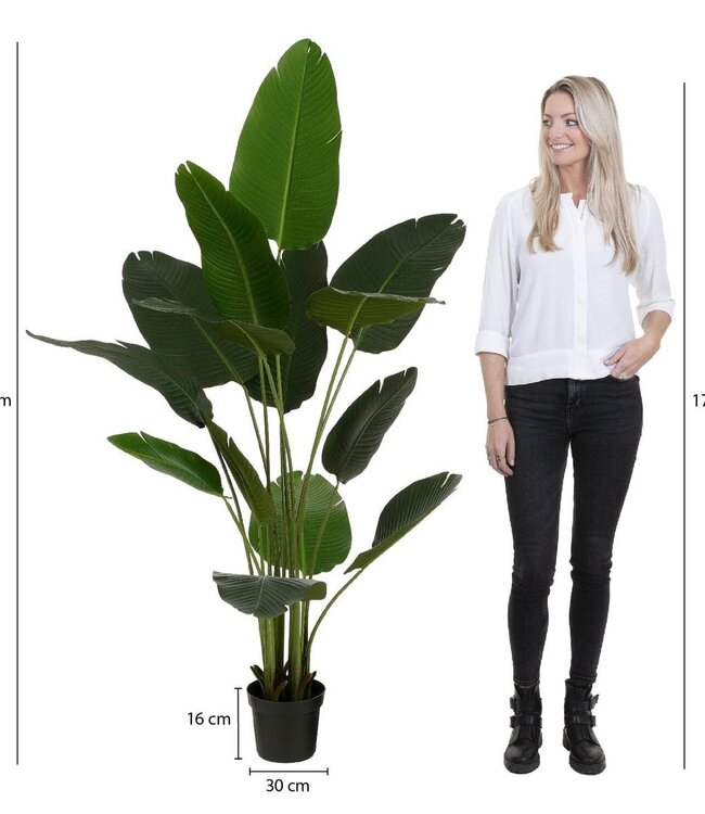 Kunstplant Groen 1Kunststof