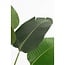 Mica Decorations Artificial Banana Tree - Green