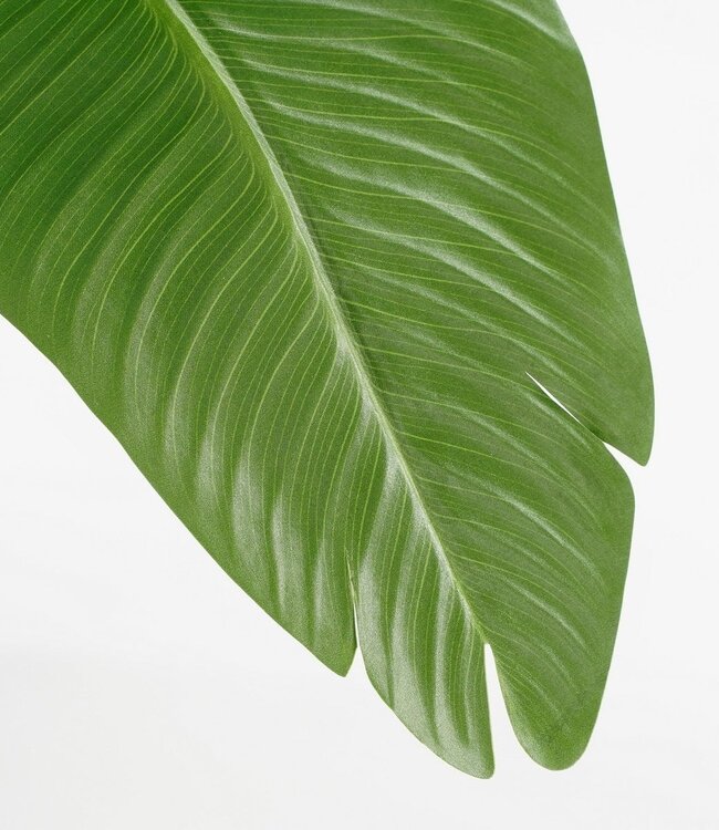 Kunstplant Groen 1Kunststof