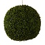 Mica Decorations Kunstplant Groen 1Kunststof