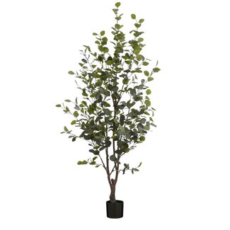 Mica Decorations Künstlicher Eukalyptus - Grün - H180 cm