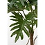 Mica Decorations Künstlicher Philodendron - Grün - H140 cm