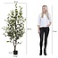 Mica Decorations Artificial Eucalyptus Plant - Green - H180 cm